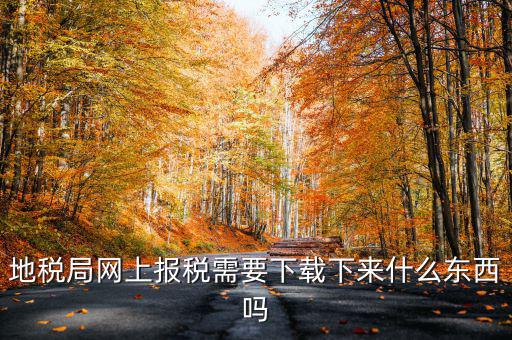 辦地稅都需要什么軟件，地稅網(wǎng)上申報(bào)軟件