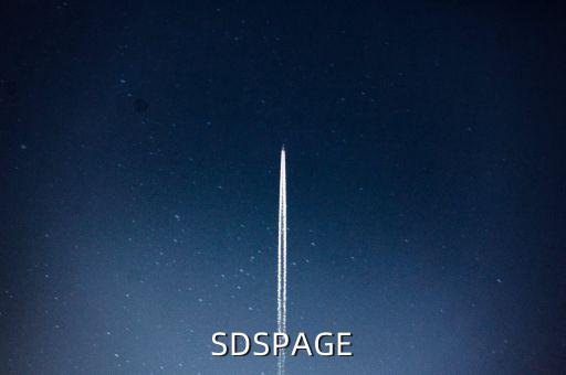 SDSPAGE