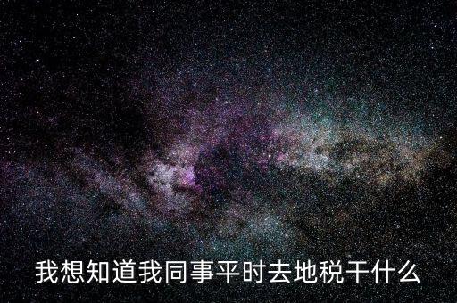 我想知道我同事平時(shí)去地稅干什么