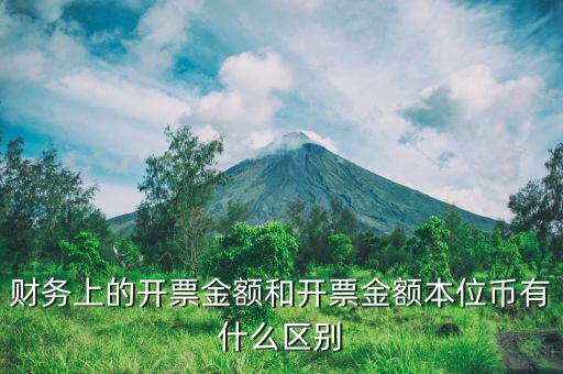 財(cái)務(wù)上的開票金額和開票金額本位幣有什么區(qū)別