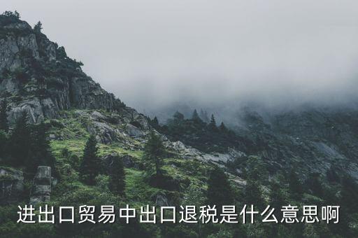 什么是增值稅出口退稅，出口退稅指的是什么