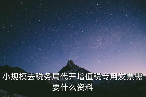 小規(guī)模去稅務局代開增值稅專用發(fā)票需要什么資料