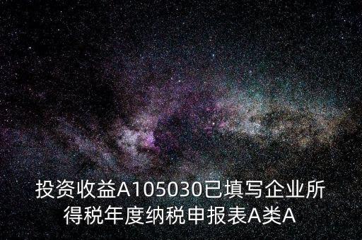 a100000什么時候填，投資收益A105030已填寫企業(yè)所得稅年度納稅申報表A類A