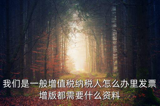 我們是一般增值稅納稅人怎么辦里發(fā)票增版都需要什么資料