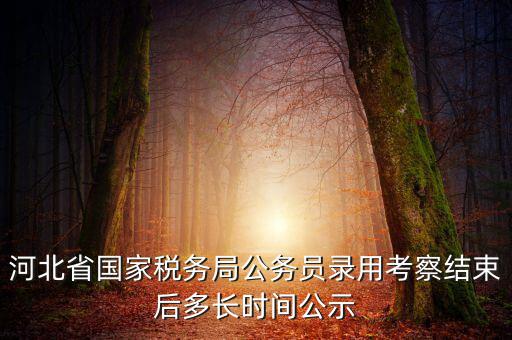 國稅一般什么時(shí)候公示，河北省國家稅務(wù)局公務(wù)員錄用考察結(jié)束后多長時(shí)間公示