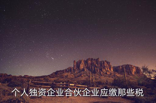 個人獨資企業(yè)合伙企業(yè)應繳那些稅
