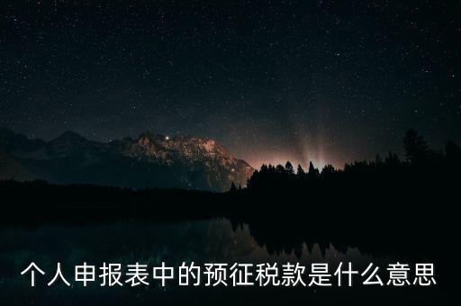 個人申報表中的預(yù)征稅款是什么意思