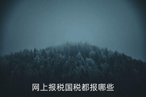 國(guó)稅云辦稅廳都報(bào)什么，你好我是新手我想問(wèn)一下前輩國(guó)稅每月季年都報(bào)什么報(bào)表