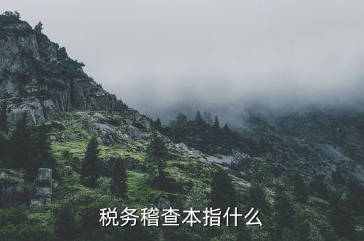 什么叫稅務(wù)稽查檢查科臺(tái)帳范本，稅務(wù)稽查本指什么