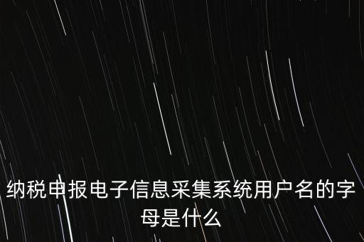 江蘇國稅電子稅務局登錄用戶名是什么意思，江蘇國稅網(wǎng)上辦稅服務廳的用戶名是什么