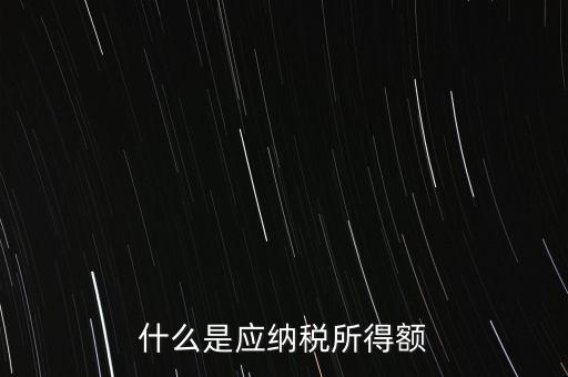 什么是年應(yīng)納稅所得額，什么是應(yīng)納稅所得額