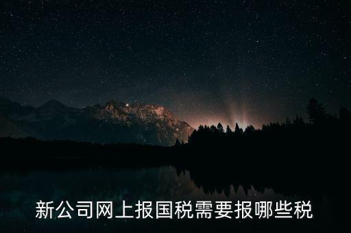 新公司網(wǎng)上報(bào)國稅需要報(bào)哪些稅