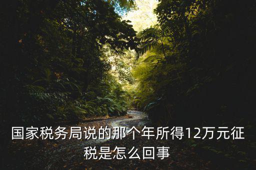 國家稅務(wù)局說的那個(gè)年所得12萬元征稅是怎么回事