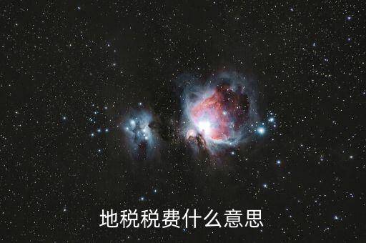 地稅稅費什么意思