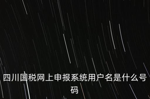 四川省地方稅務(wù)局登錄賬號(hào)是什么，在網(wǎng)上報(bào)稅登陸時(shí)用戶名是什么