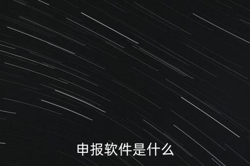 增值稅申報(bào)用什么軟件，申報(bào)軟件是什么