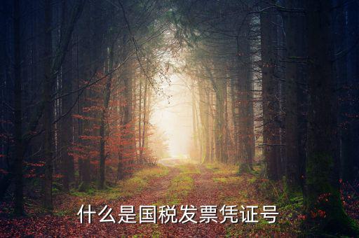 什么是國(guó)稅發(fā)票憑證號(hào)