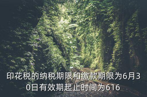 繳款期限什么意思，滯納金是什么意思