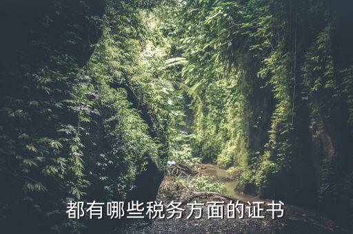 都有哪些稅務(wù)方面的證書(shū)