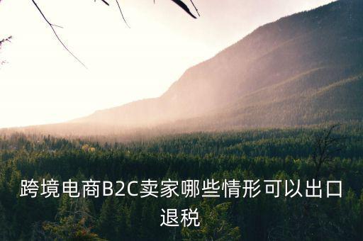 什么情況下要退稅，跨境電商B2C賣家哪些情形可以出口退稅