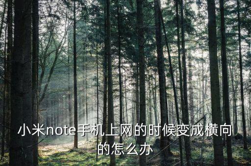 小米note手機上網(wǎng)的時候變成橫向的怎么辦