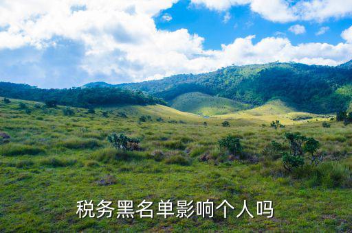 稅務黑名單影響個人嗎