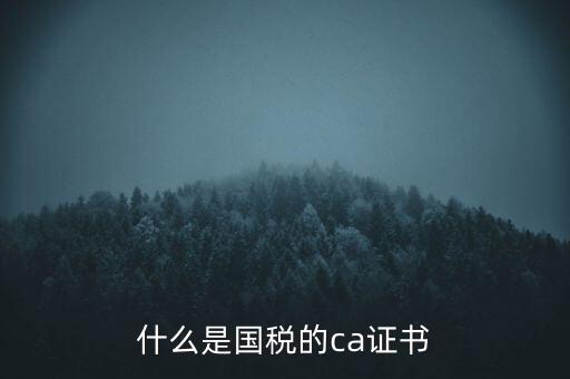 什么是國(guó)稅的ca證書