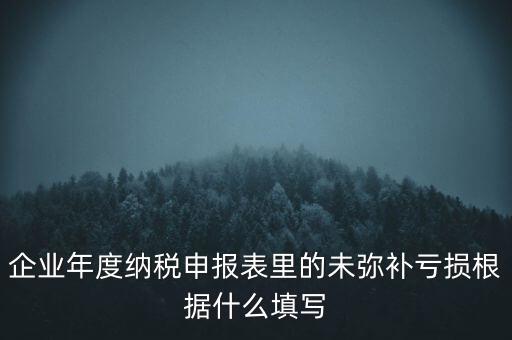 企業(yè)年度納稅申報表里的未彌補虧損根據什么填寫