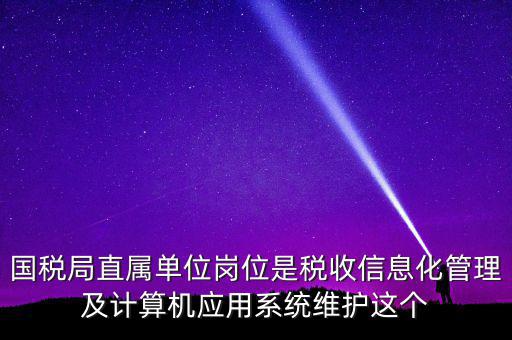 國稅局直屬單位崗位是稅收信息化管理及計算機應用系統(tǒng)維護這個