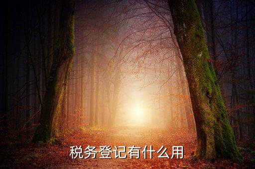 有稅務(wù)登記有什么好，稅務(wù)登記有什么用