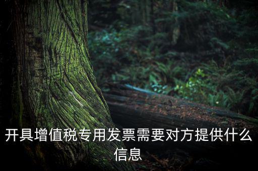 開具增值稅專用發(fā)票需要對方提供什么信息