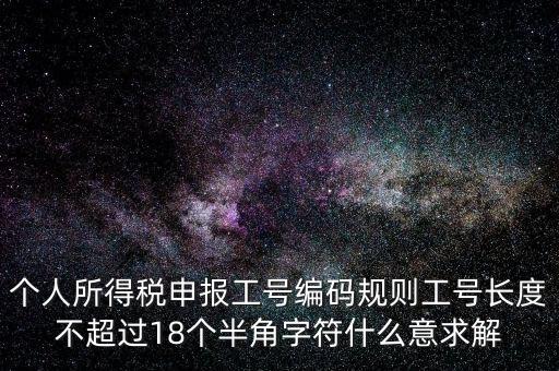 個(gè)人所得稅申報(bào)工號編碼規(guī)則工號長度不超過18個(gè)半角字符什么意求解