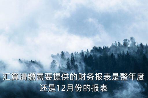 匯算清繳需要提供的財務(wù)報表是整年度還是12月份的報表