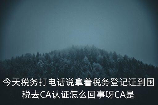 今天稅務(wù)打電話說(shuō)拿著稅務(wù)登記證到國(guó)稅去CA認(rèn)證怎么回事呀CA是