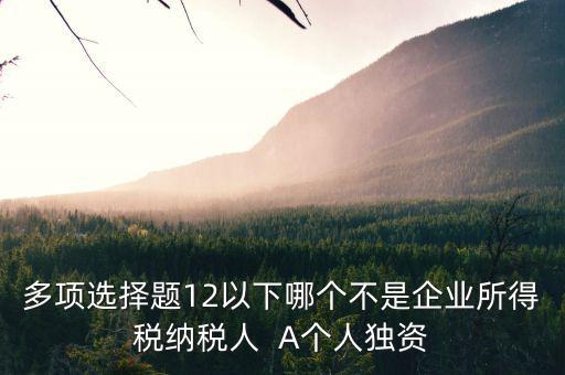 什么納稅人，多項選擇題12以下哪個不是企業(yè)所得稅納稅人  A個人獨資