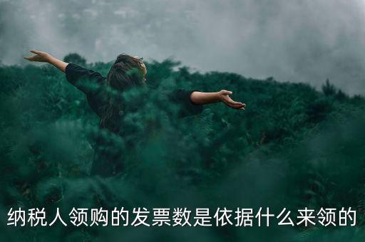 為什么領票人是納稅人，發(fā)票領購簿上的章子與納稅人名稱不一樣是怎么回事