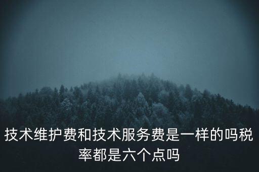 技術(shù)維戶費交什么稅，維修費交什么稅