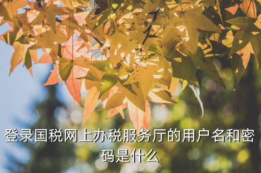 江蘇國稅電子稅務局登錄用戶名是什么，江蘇國稅網(wǎng)上辦稅服務廳的用戶名是什么