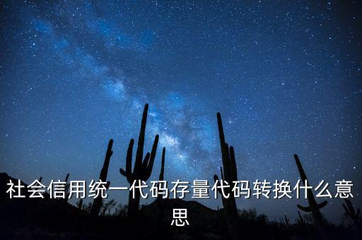 社會信用統(tǒng)一代碼存量代碼轉(zhuǎn)換什么意思