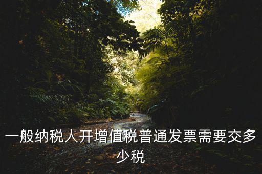 一般納稅人開增值稅普通發(fā)票需要交多少稅