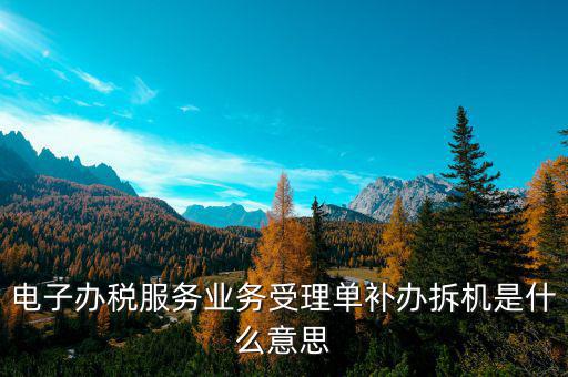 電子辦稅服務(wù)業(yè)務(wù)受理單補(bǔ)辦拆機(jī)是什么意思