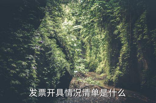 發(fā)票開具情況清單是什么