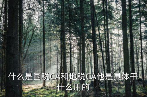 什么是國(guó)稅CA和地稅CA他是具體干什么用的