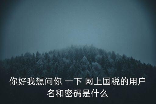 你好我想問(wèn)你 一下 網(wǎng)上國(guó)稅的用戶名和密碼是什么