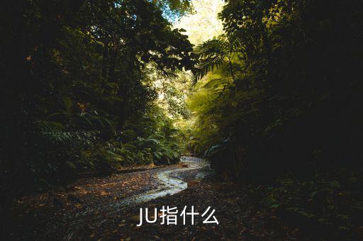 JU指什么