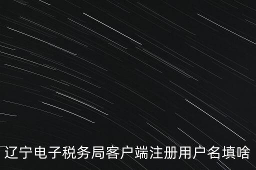 網(wǎng)上辦稅帳號(hào)是什么，登錄國稅網(wǎng)上辦稅服務(wù)廳的用戶名和密碼是什么