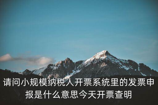 請(qǐng)問(wèn)小規(guī)模納稅人開(kāi)票系統(tǒng)里的發(fā)票申報(bào)是什么意思今天開(kāi)票查明