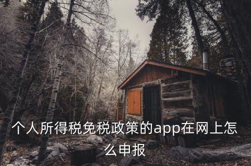 個人所得稅免稅政策的app在網(wǎng)上怎么申報