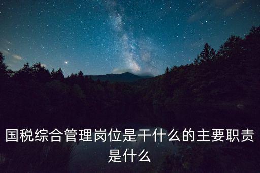 國稅綜合管理崗位是干什么的主要職責是什么