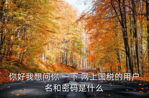 國稅登陸名和密碼是什么意思，國稅第一次網(wǎng)上申報(bào)的登陸密碼是什么